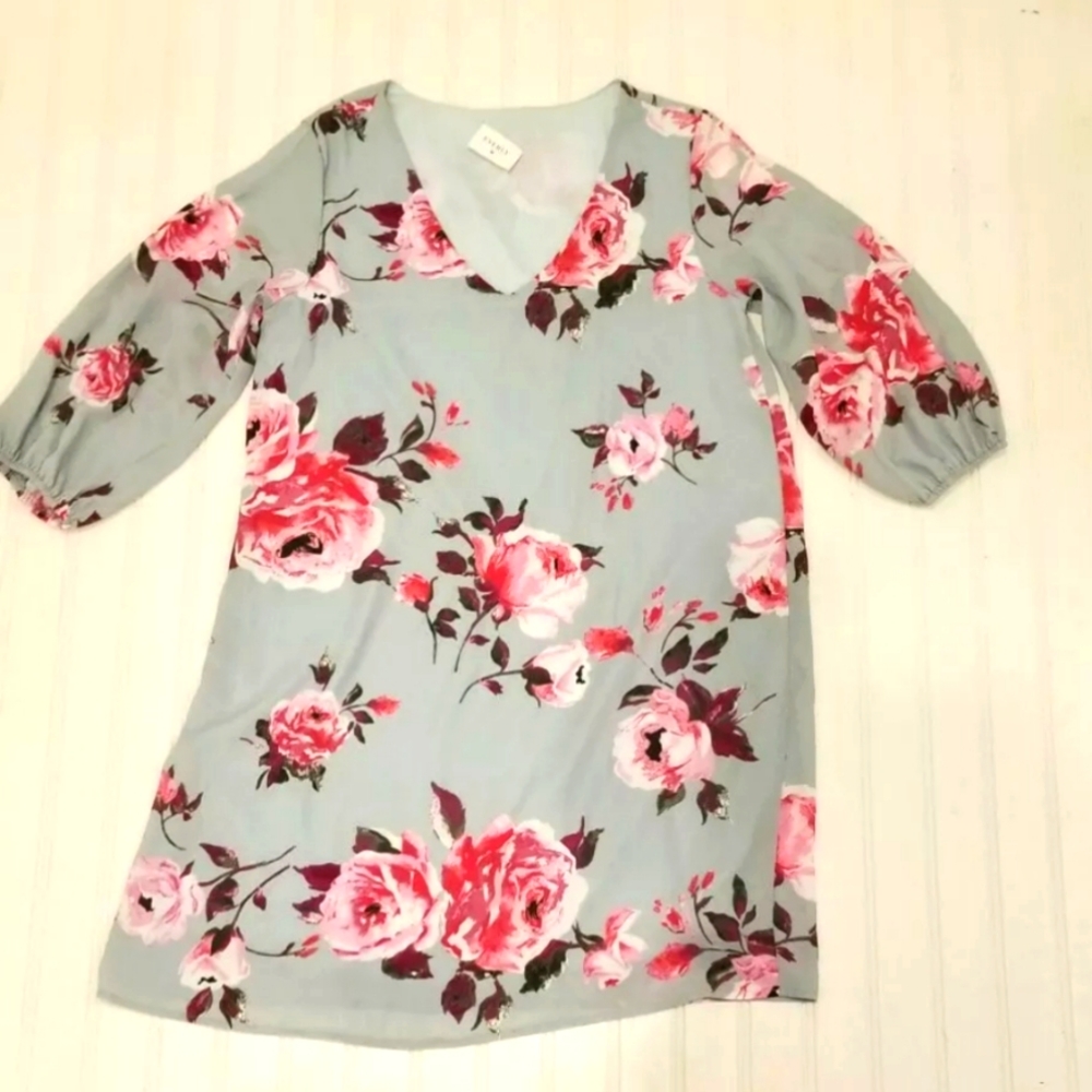 Everly Top.  Size small.  Tunic top.  Floral design.  Excellent preowned conditi